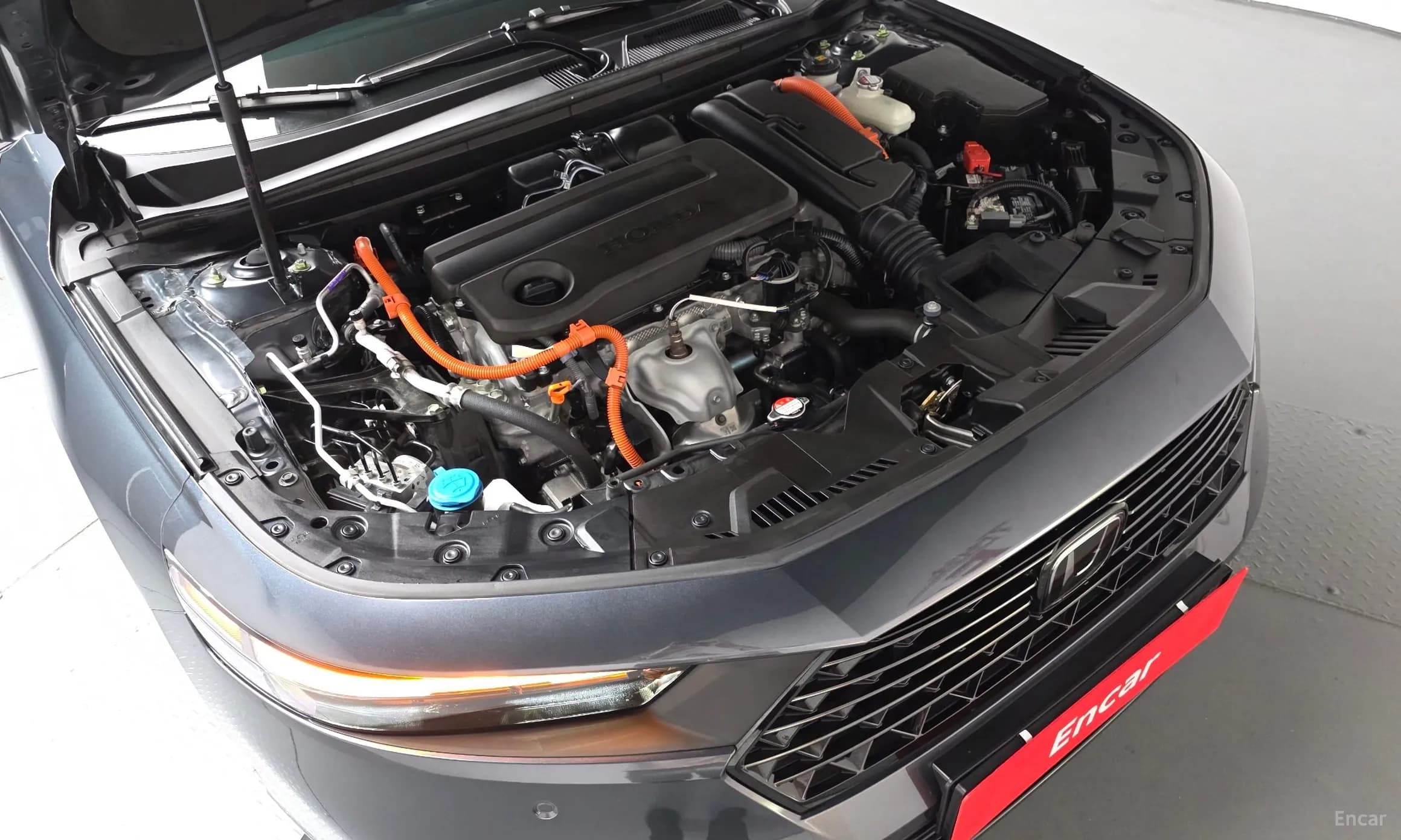 Accord 11th Generation