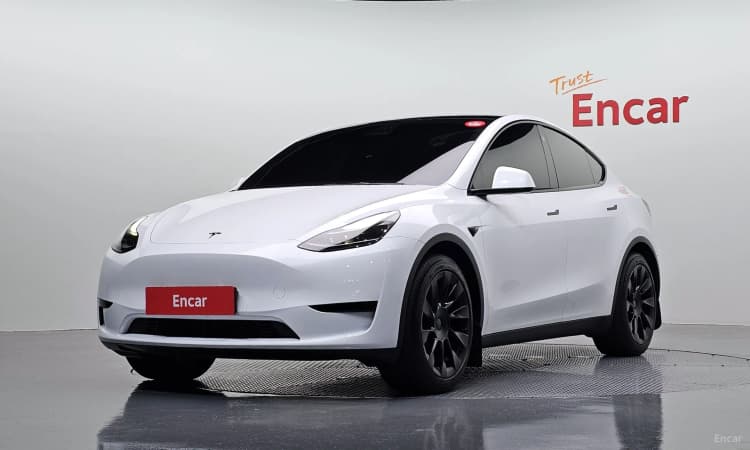 Model Y