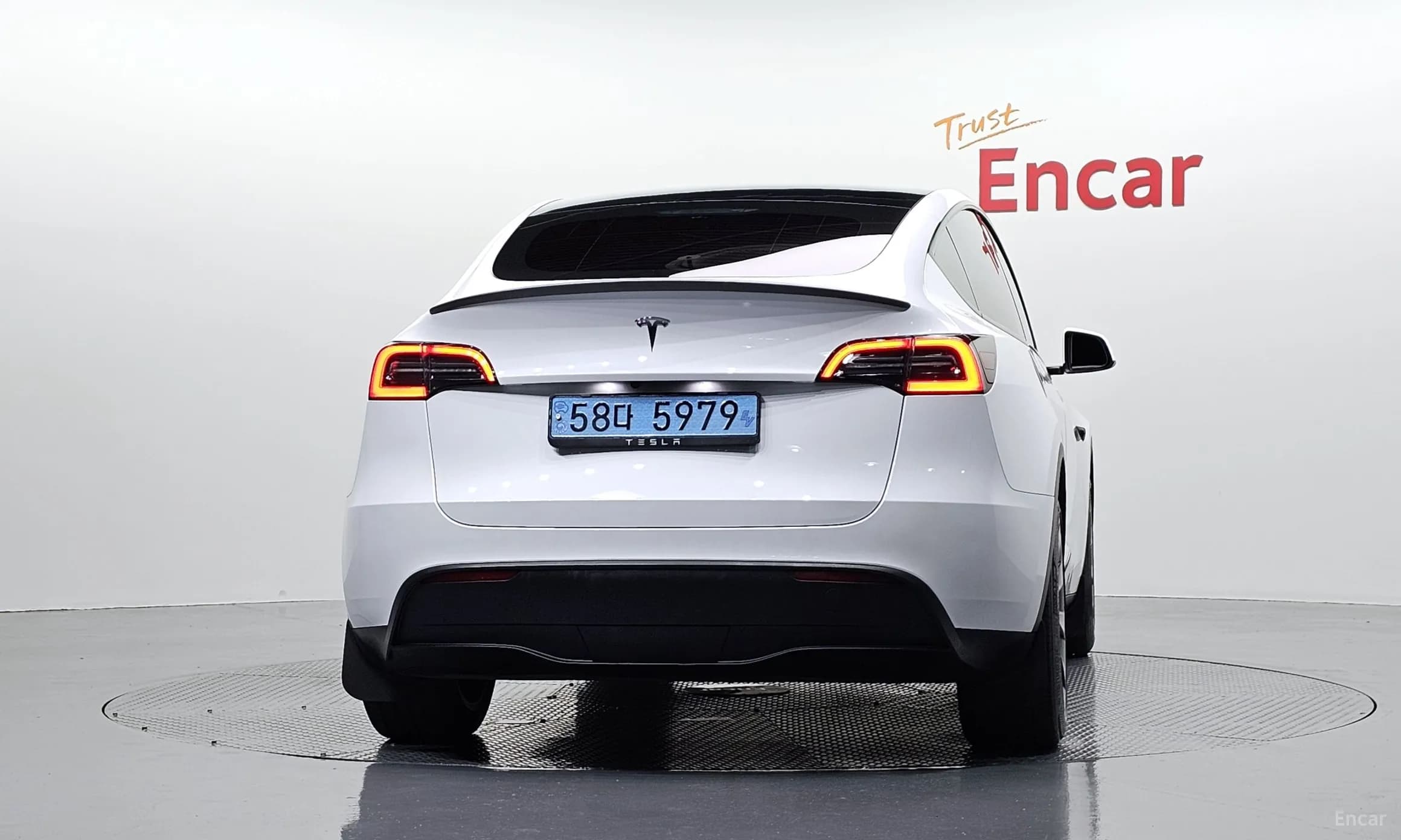 Model Y