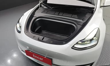 Model Y