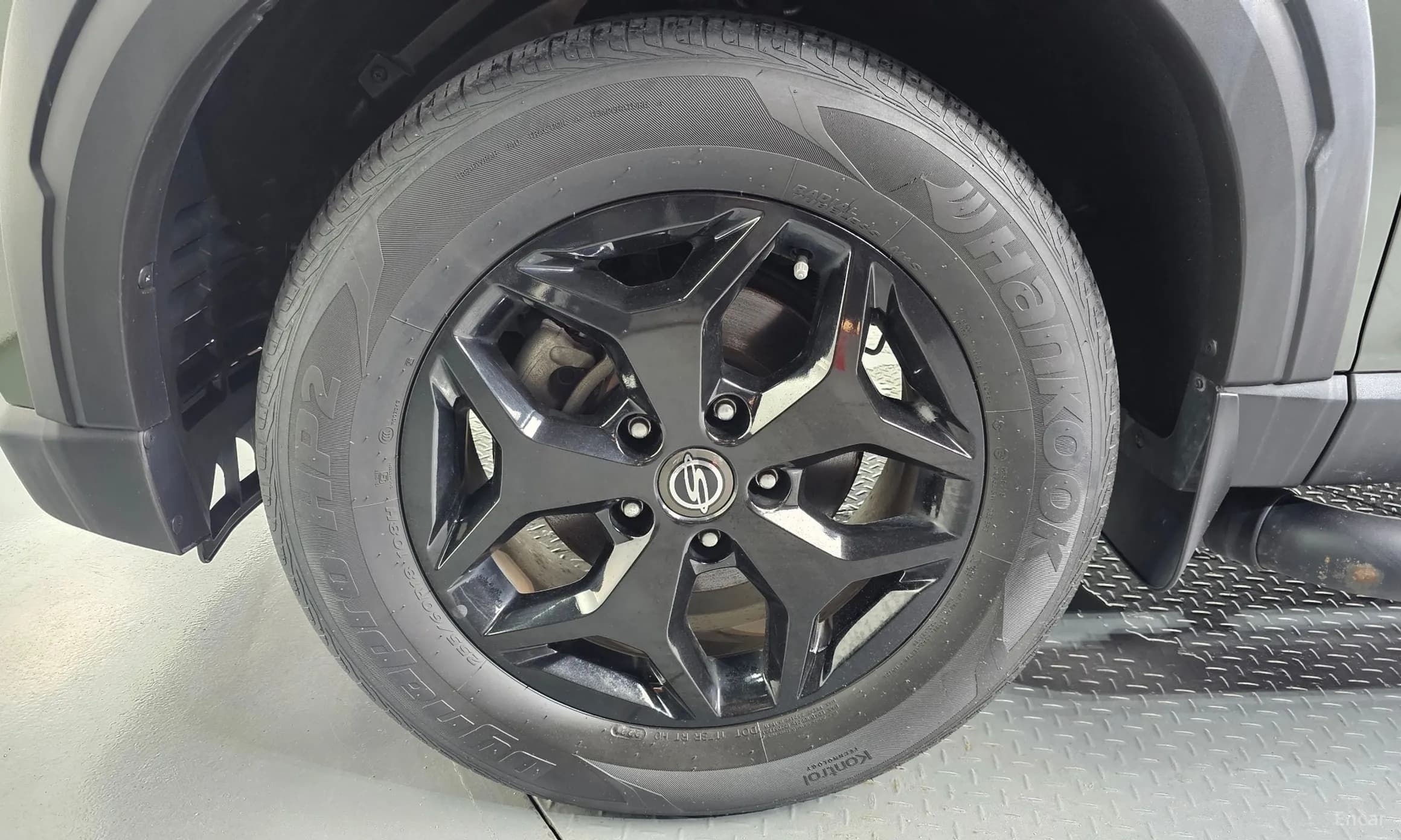Rexton Sports