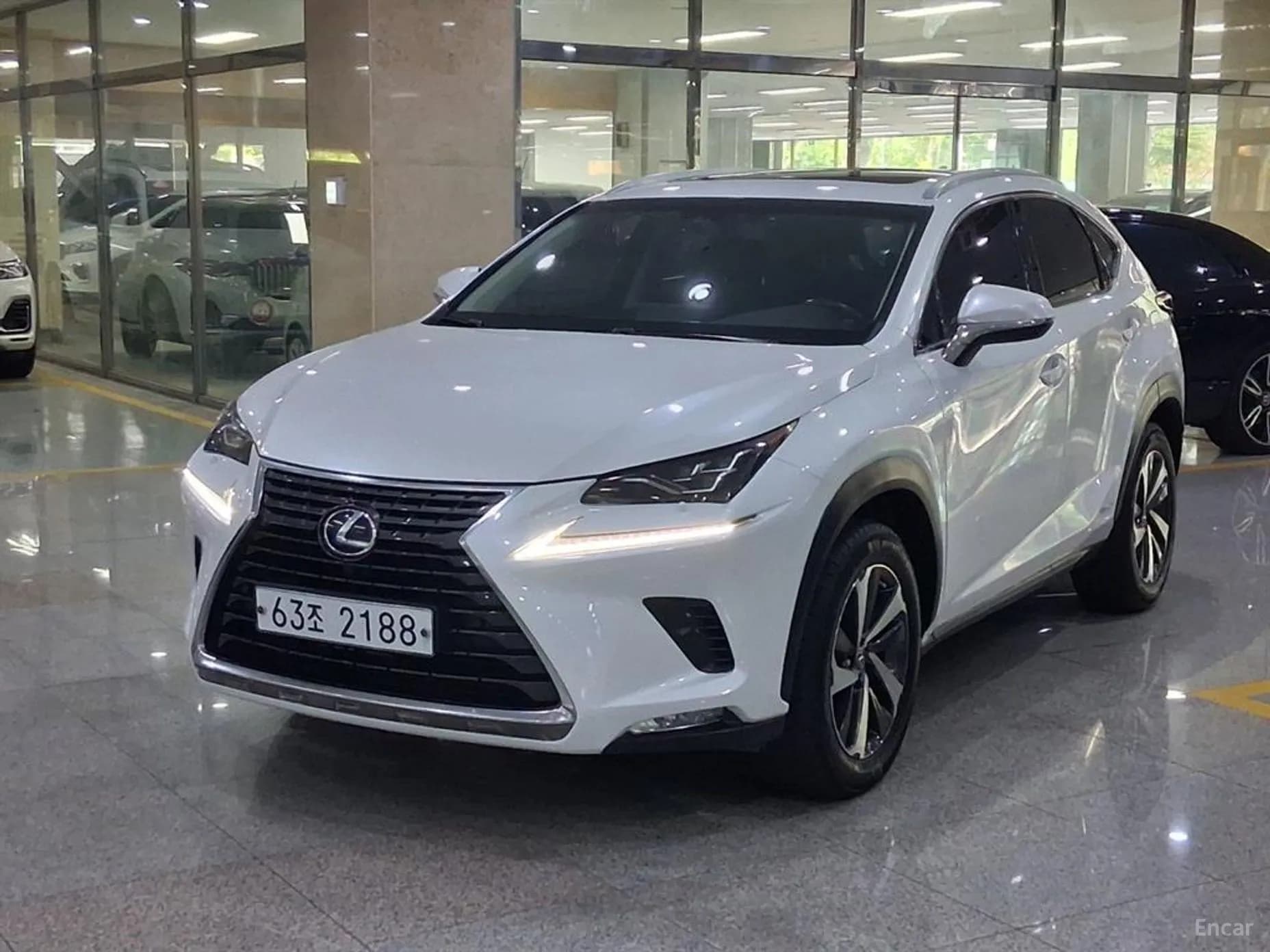 NX300h