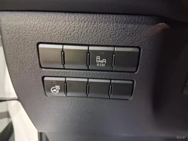NX300h