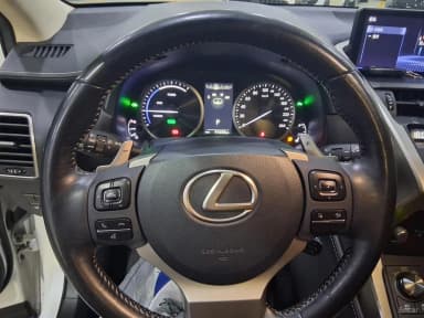 NX300h