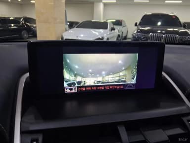 NX300h