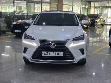 NX300h