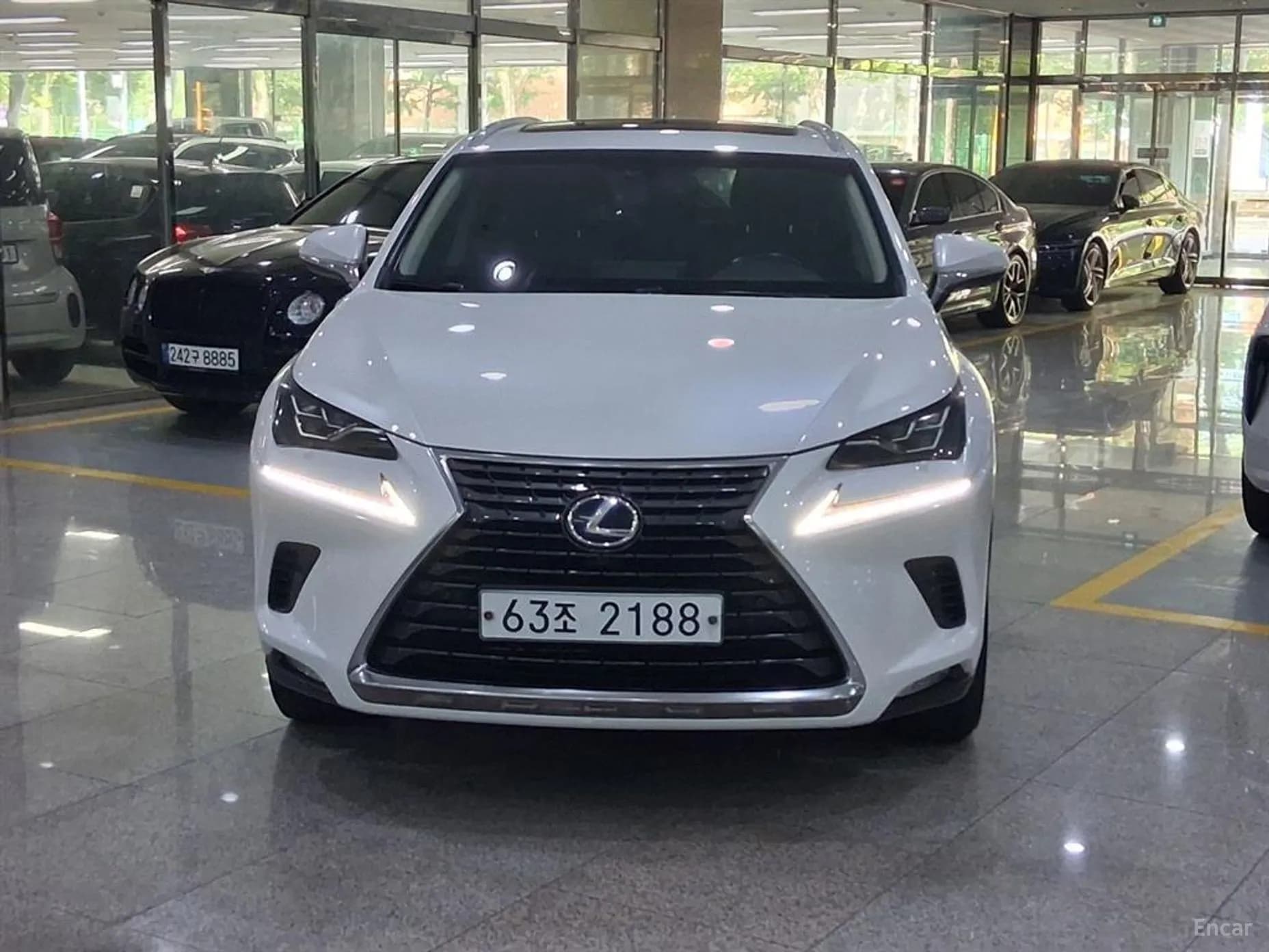 NX300h