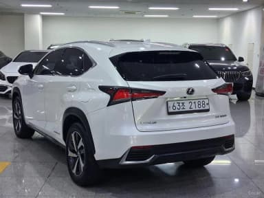 NX300h