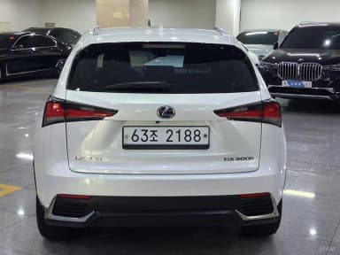 NX300h