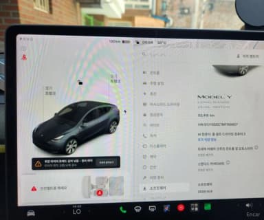 Model Y
