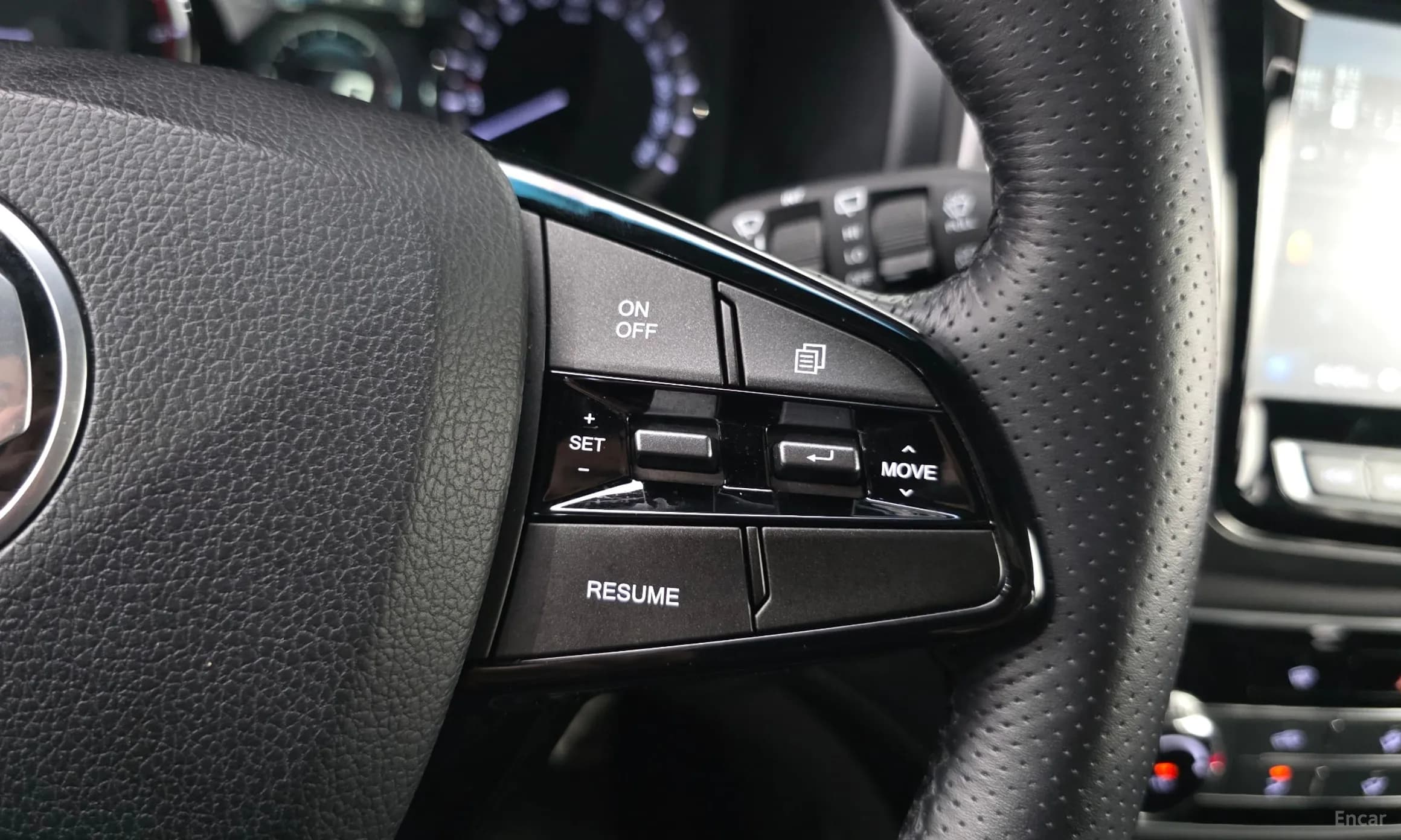 G4 Rexton