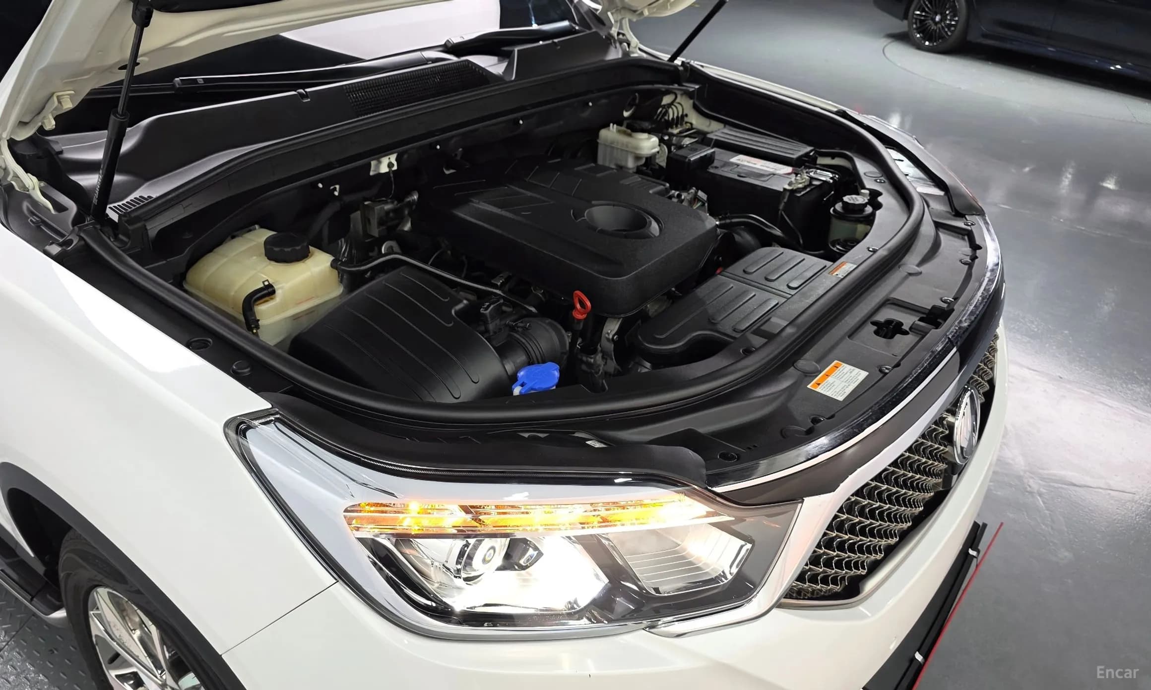 G4 Rexton