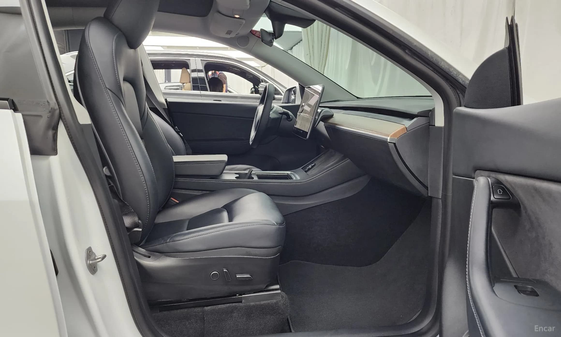 Model Y