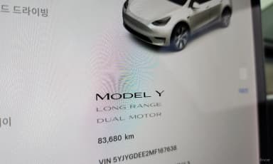 Model Y