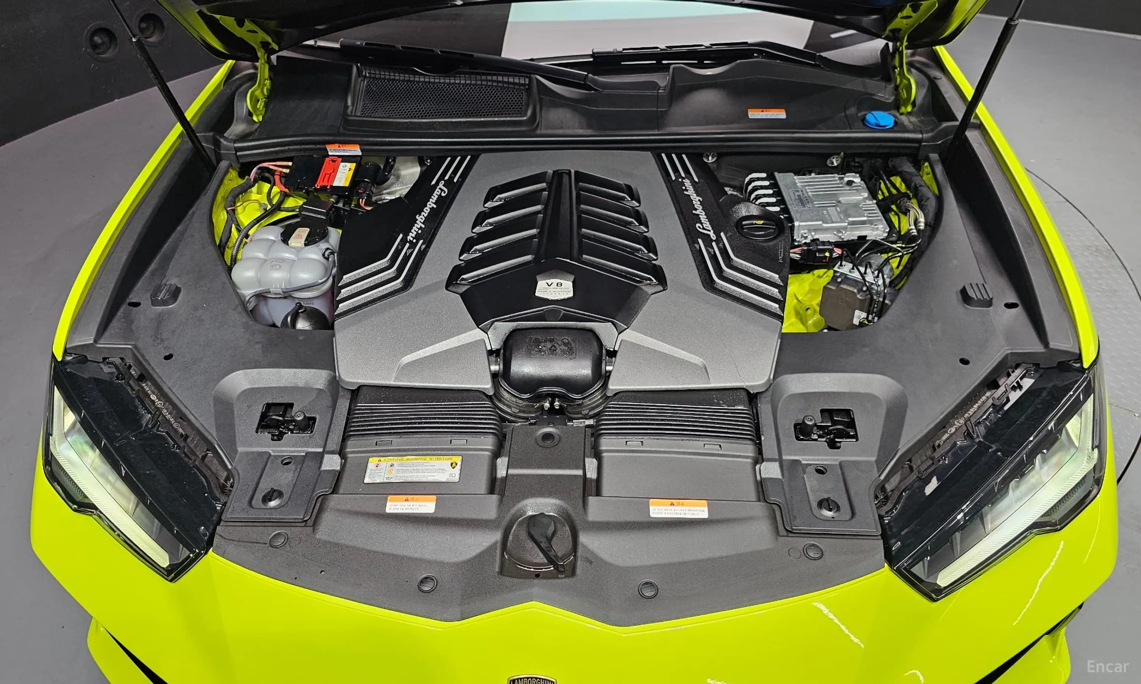 Urus