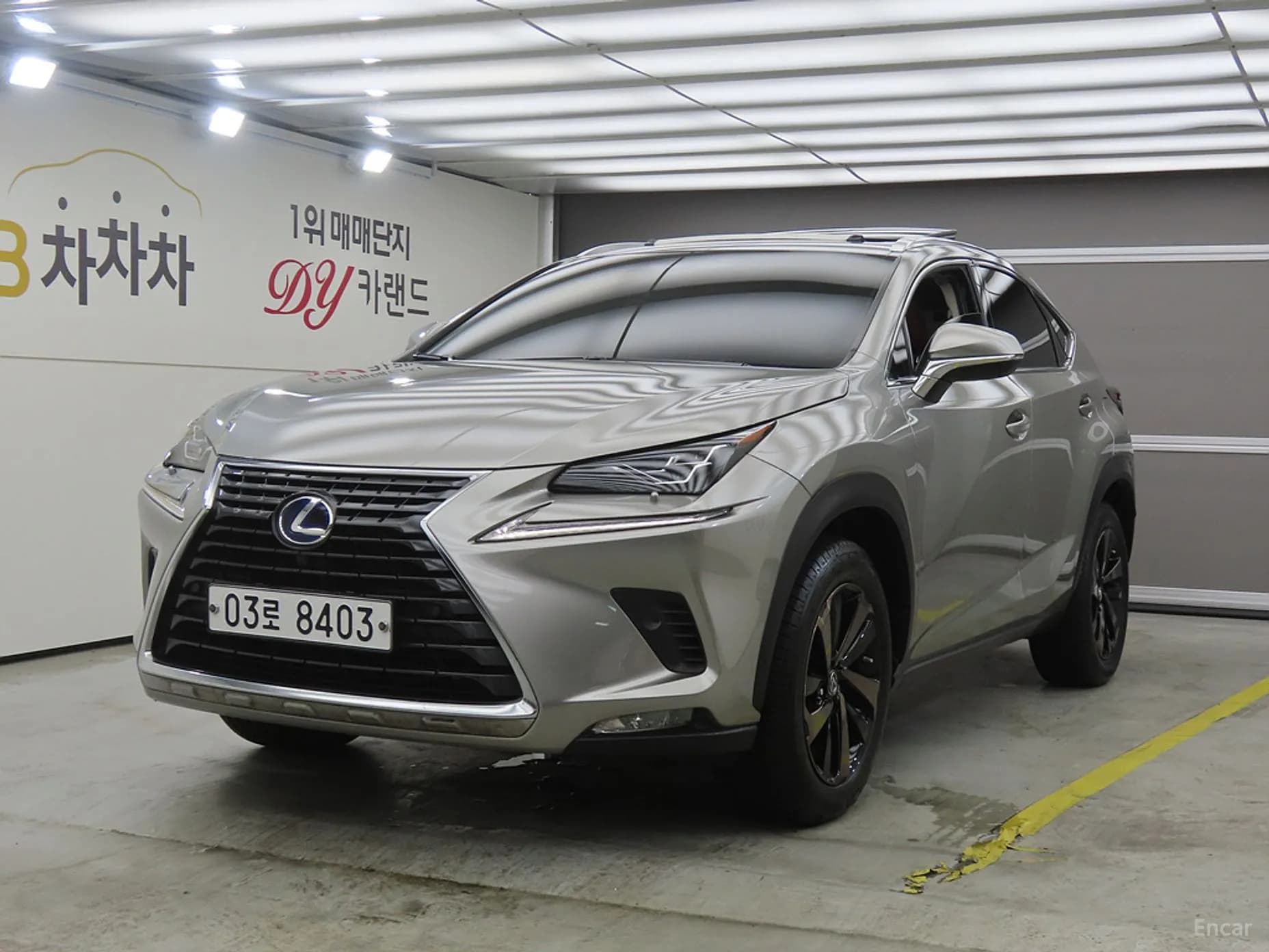 NX300h