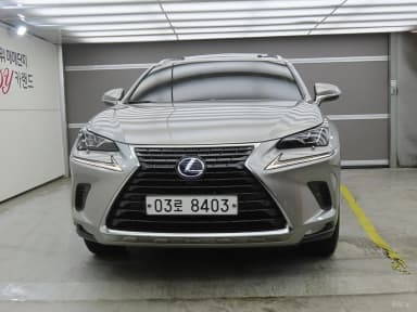 NX300h