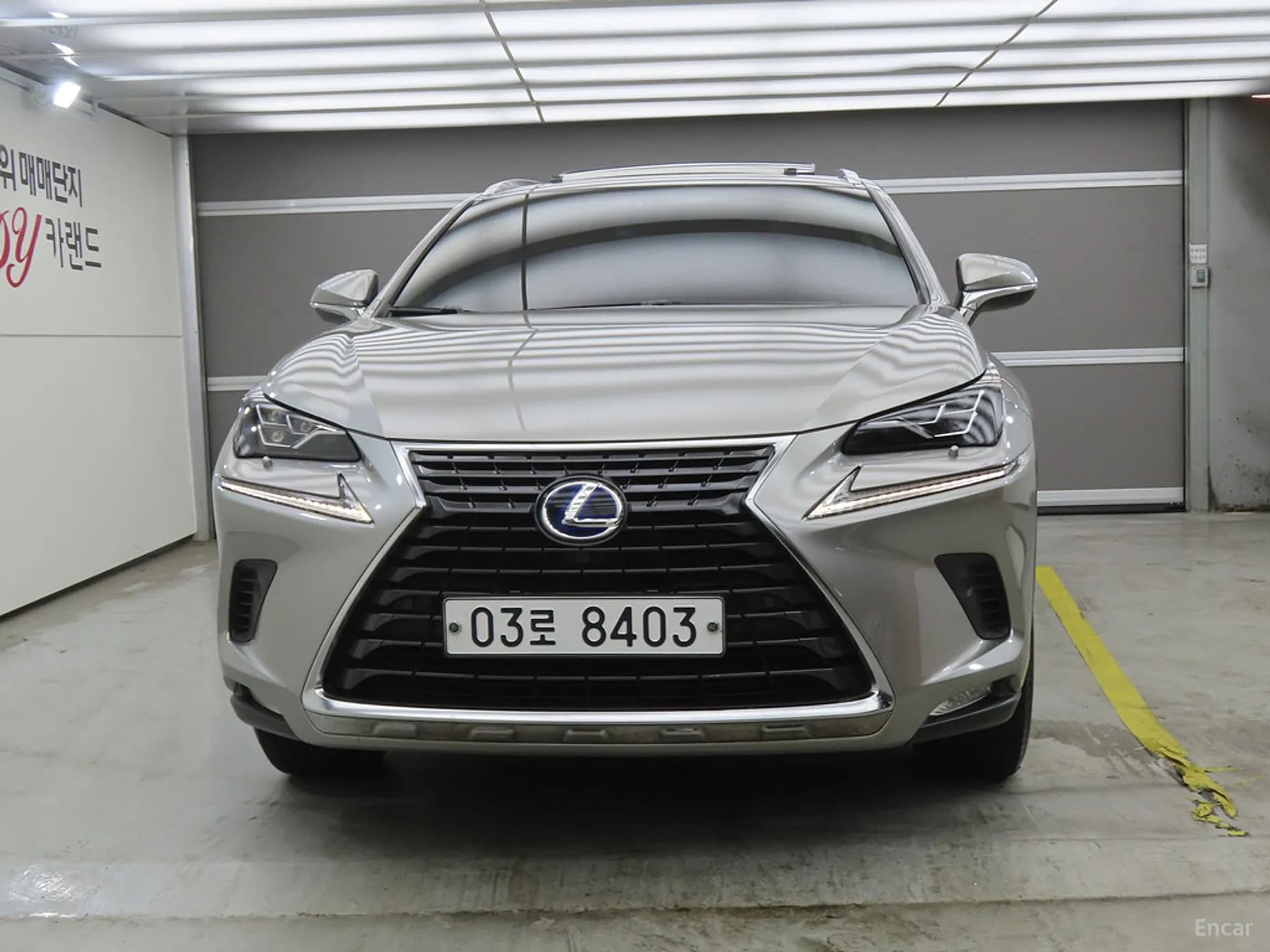 NX300h