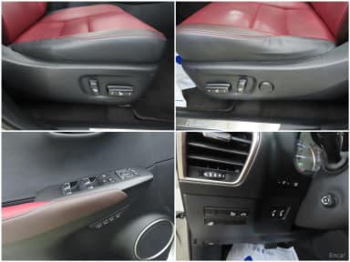 NX300h