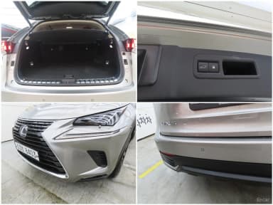 NX300h
