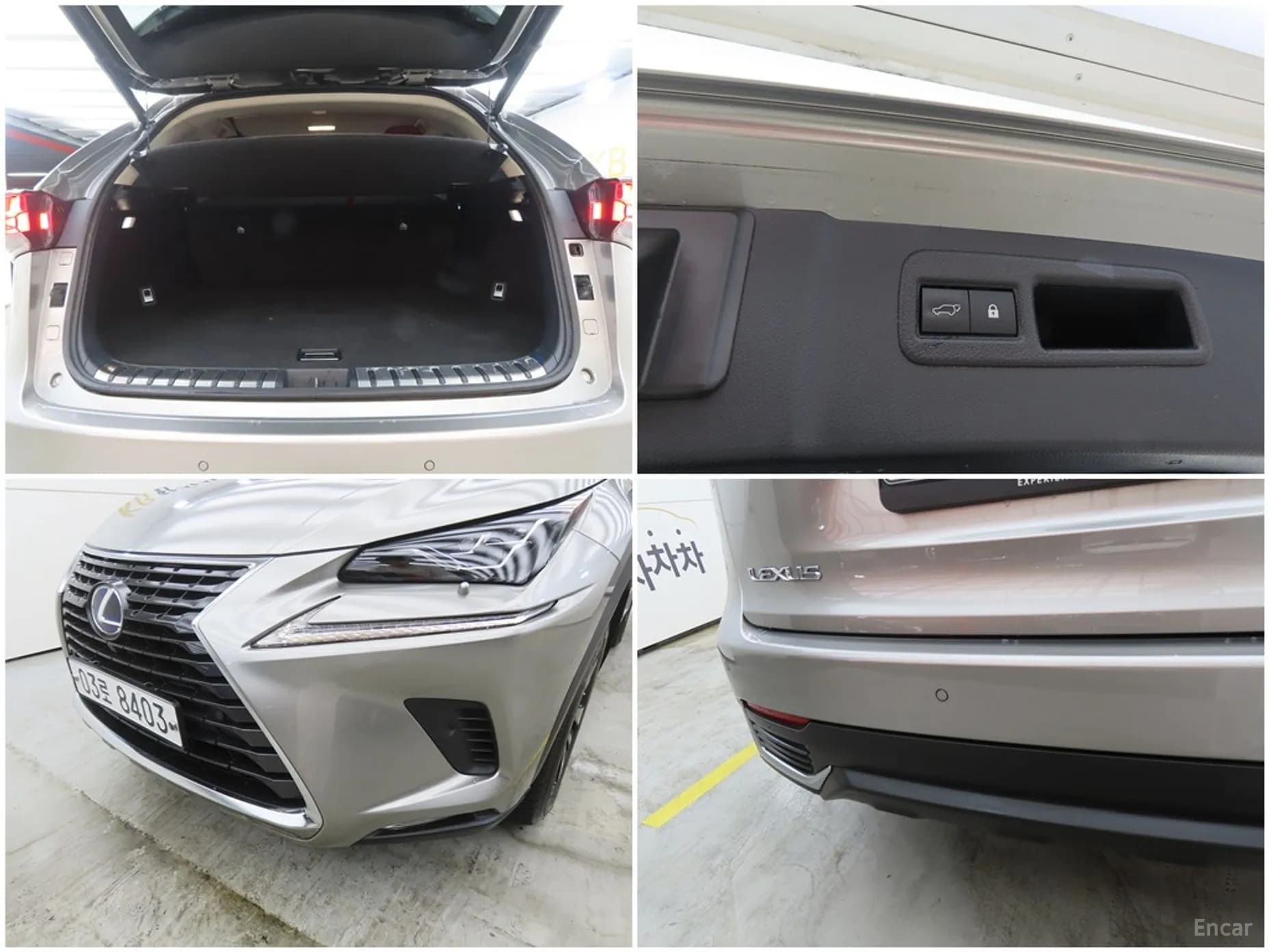 NX300h