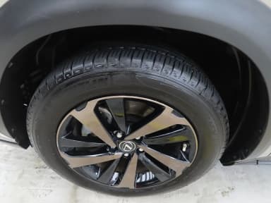 NX300h