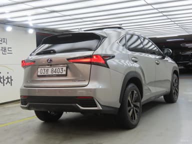 NX300h