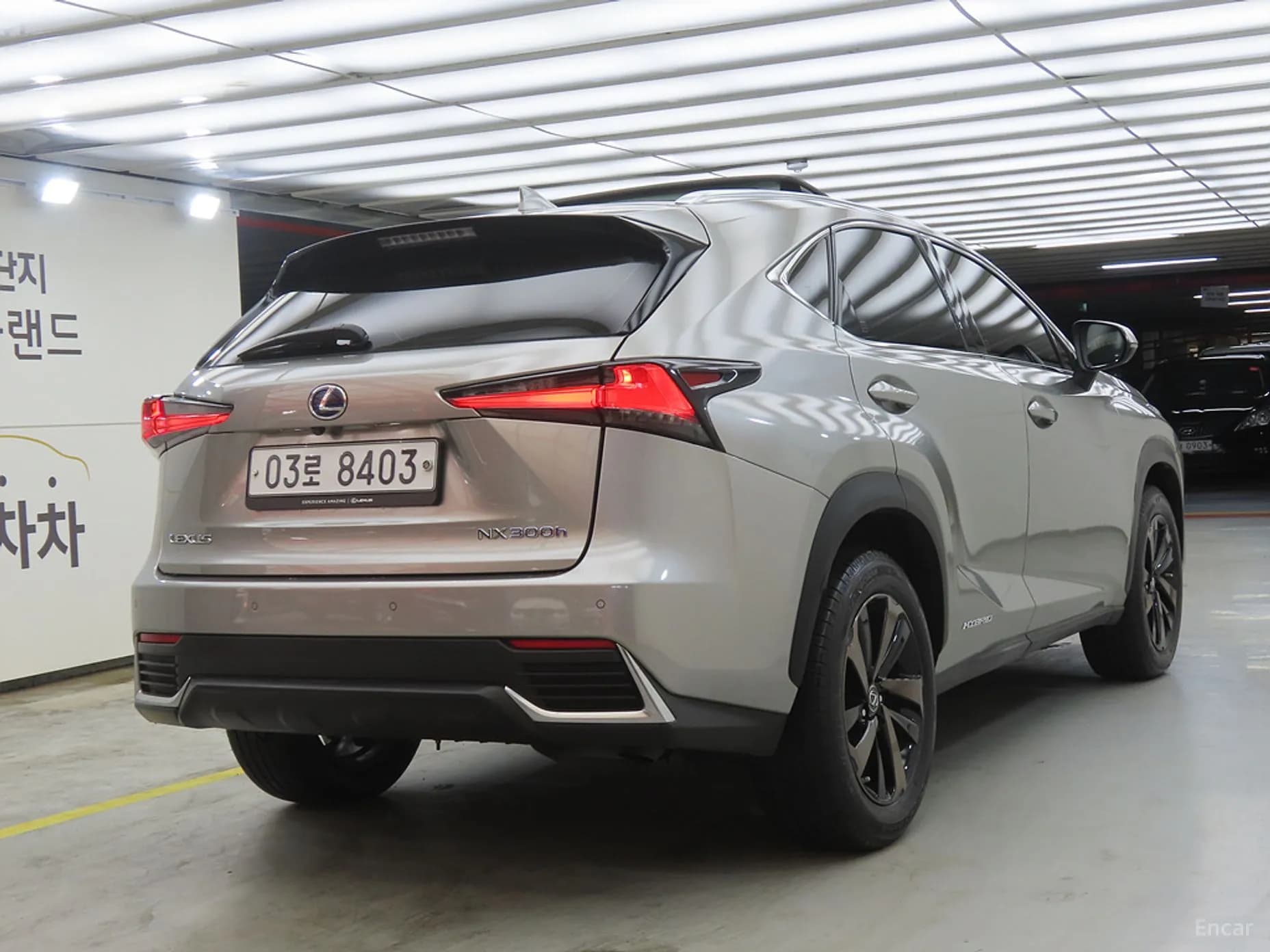 NX300h