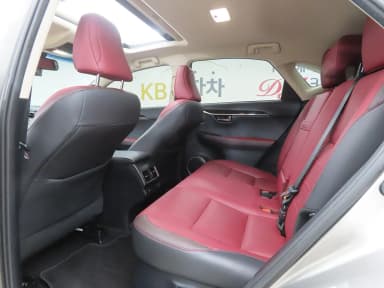 NX300h
