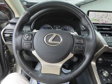 NX300h
