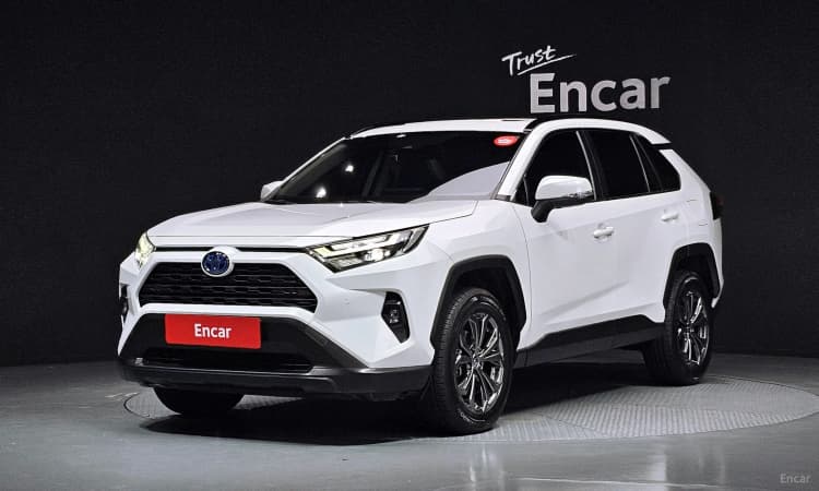 RAV4 5th Generation