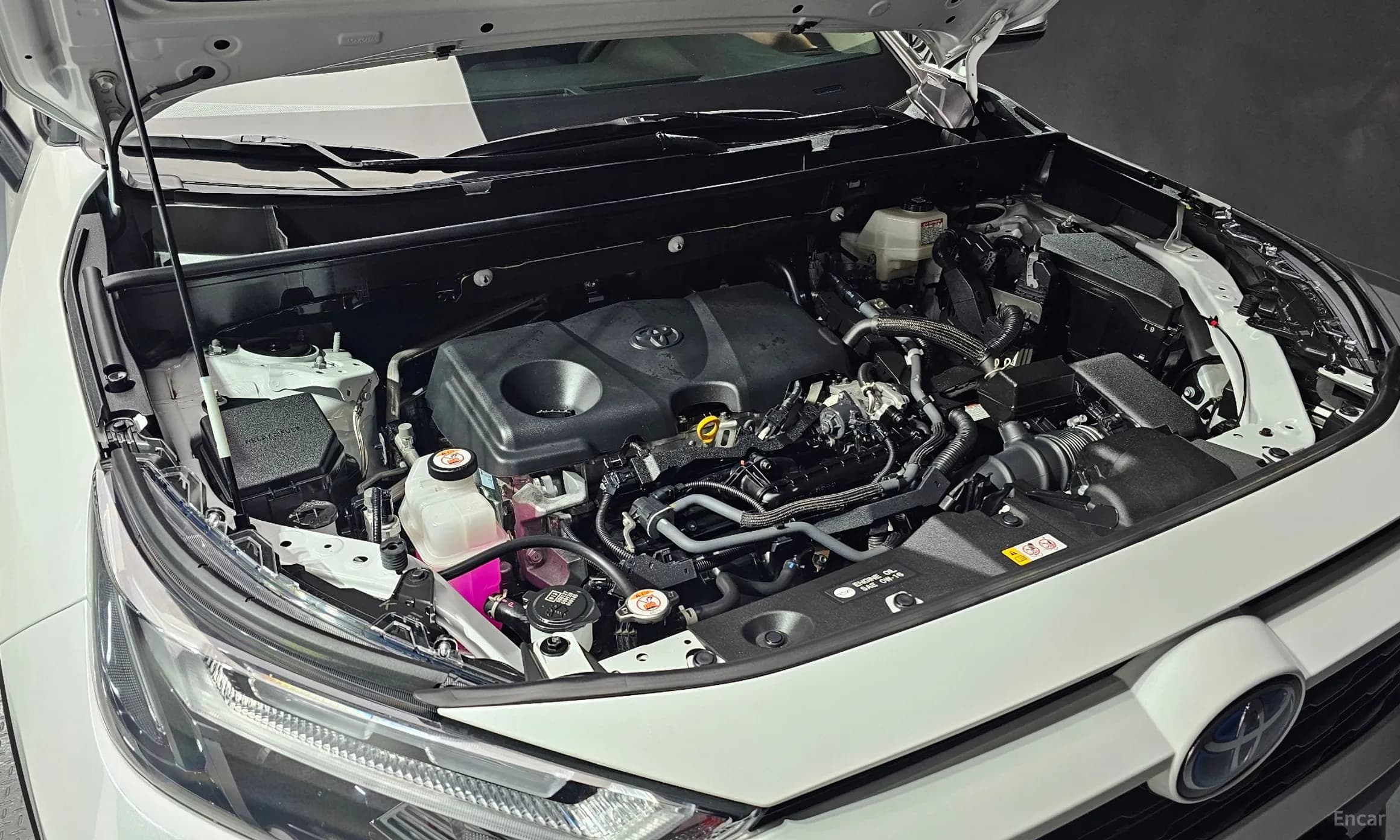 RAV4 5th Generation