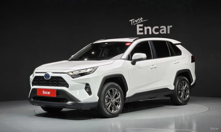 RAV4 5th Generation