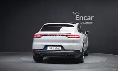 Cayenne (PO536)