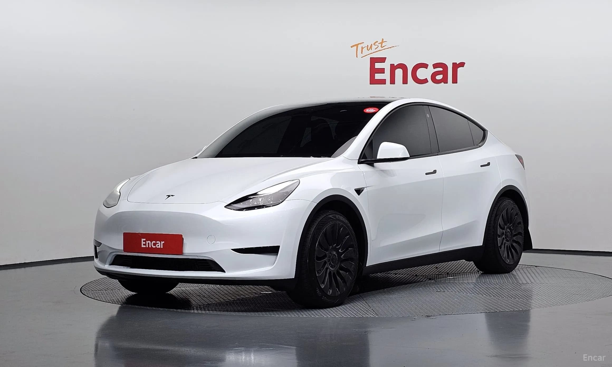 Model Y
