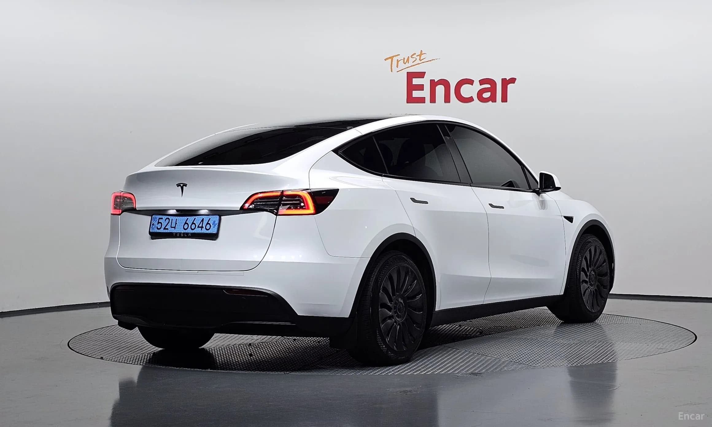 Model Y
