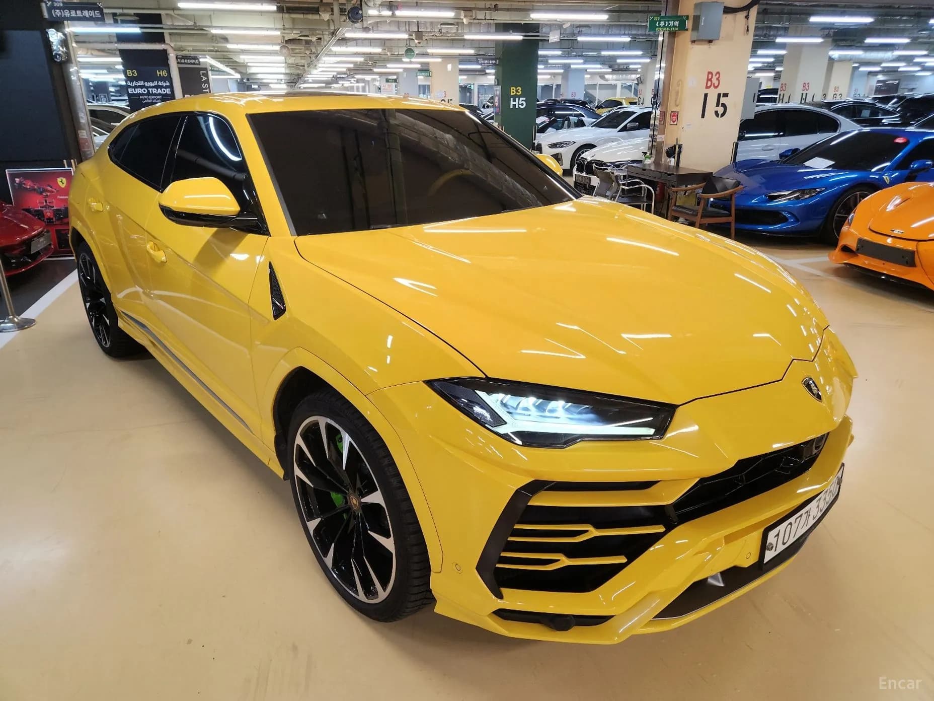 Urus