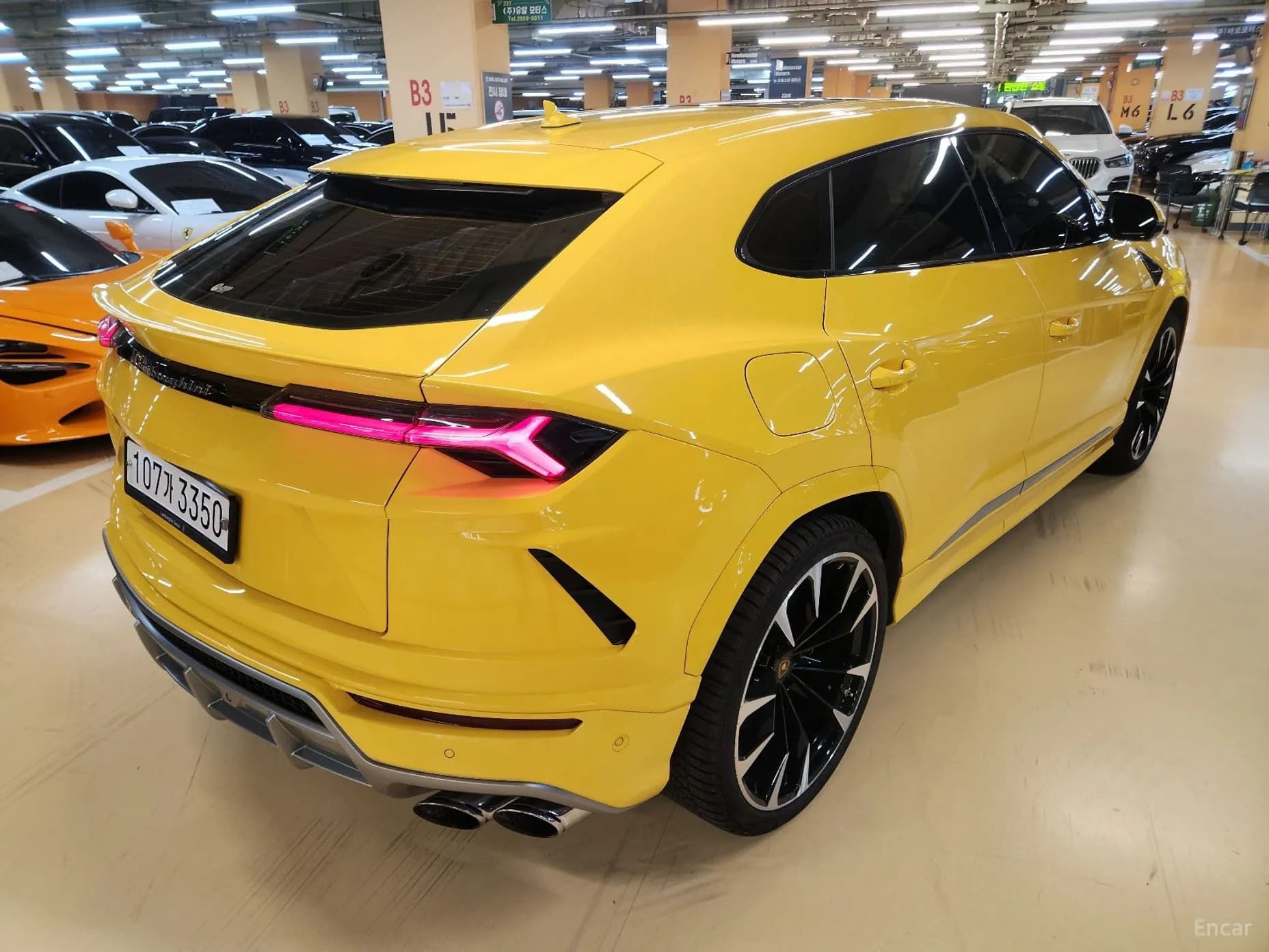 Urus