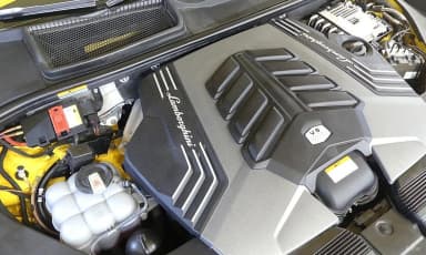 Urus