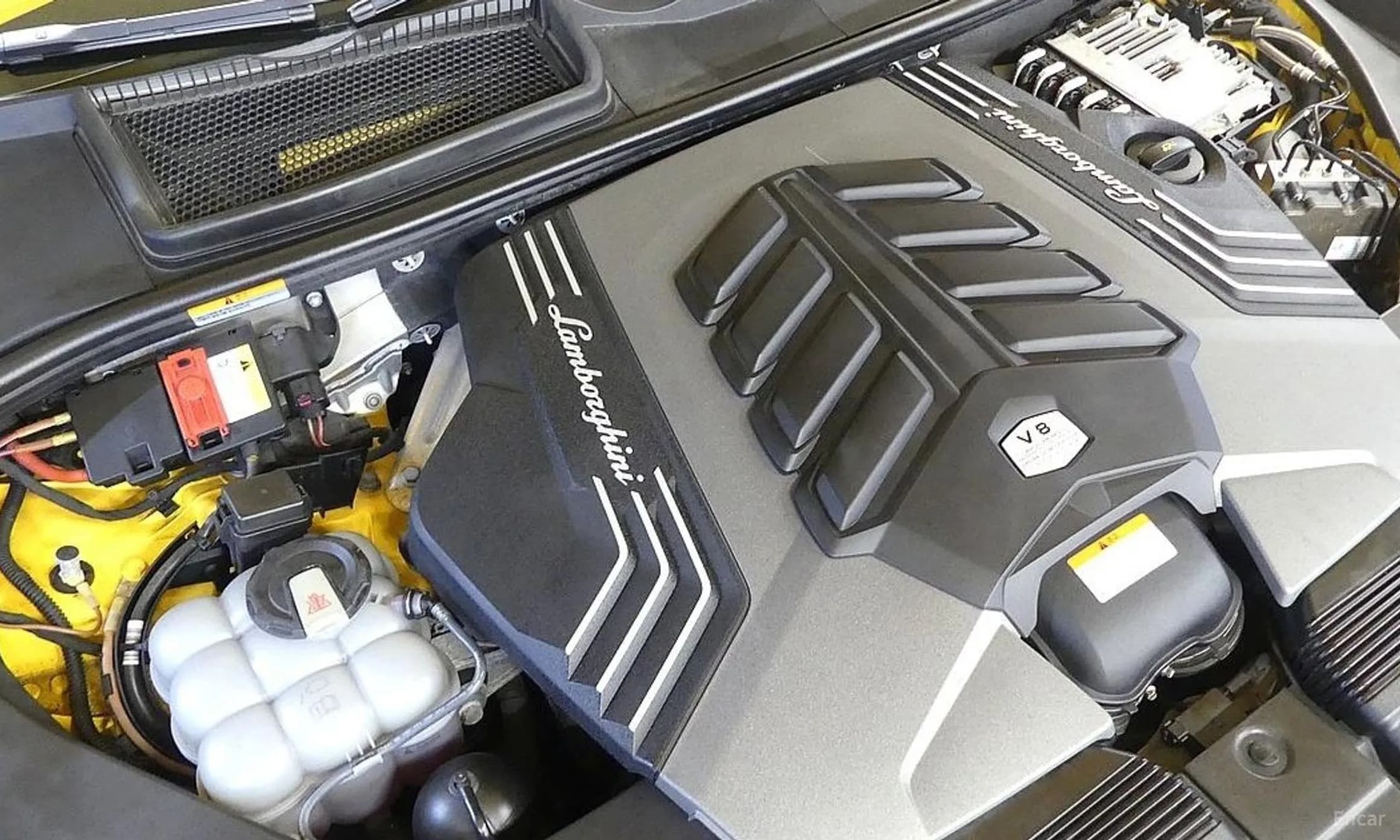 Urus