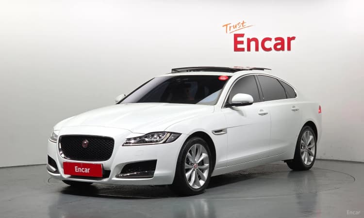 XF (x260)