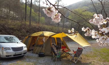 Grand Voyager