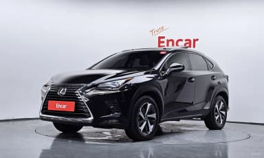 NX300h