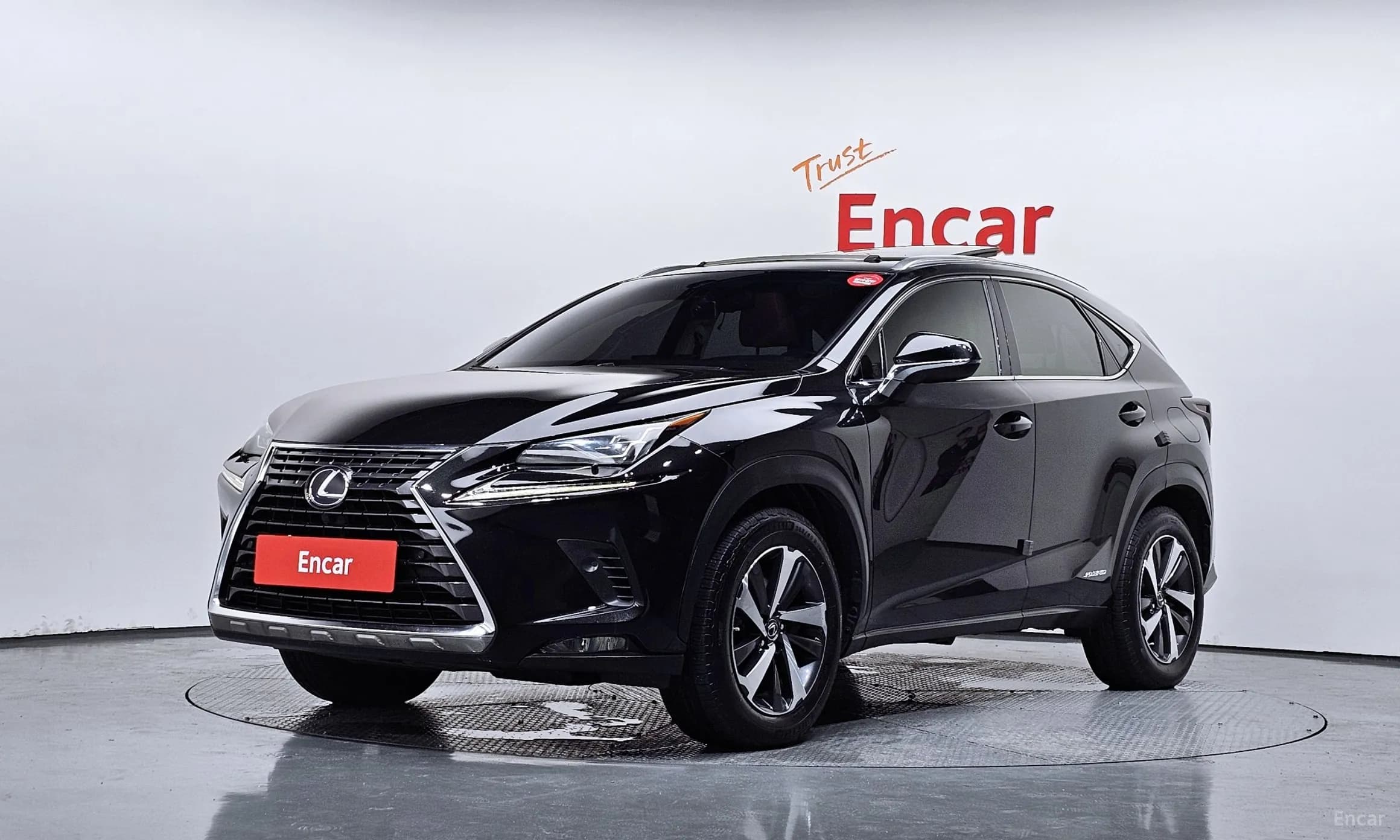 NX300h