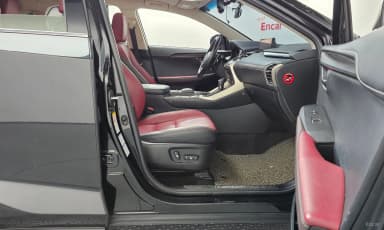NX300h