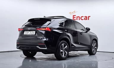 NX300h