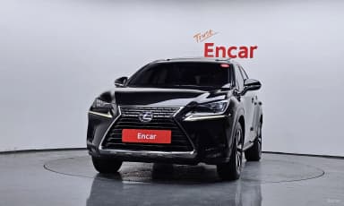 NX300h