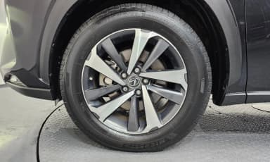 NX300h