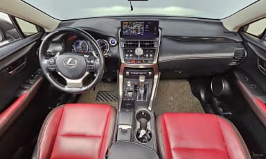 NX300h