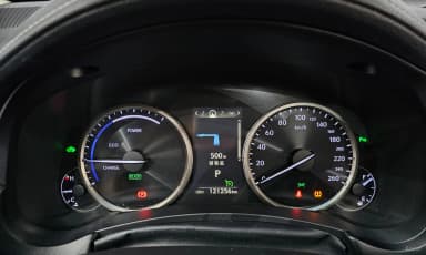 NX300h